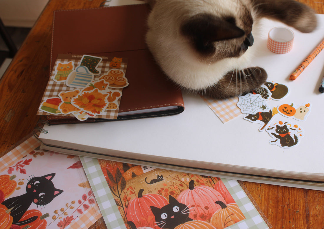 Idées cadeaux pour les amoureux des chats : une sélection cosy pour Halloween