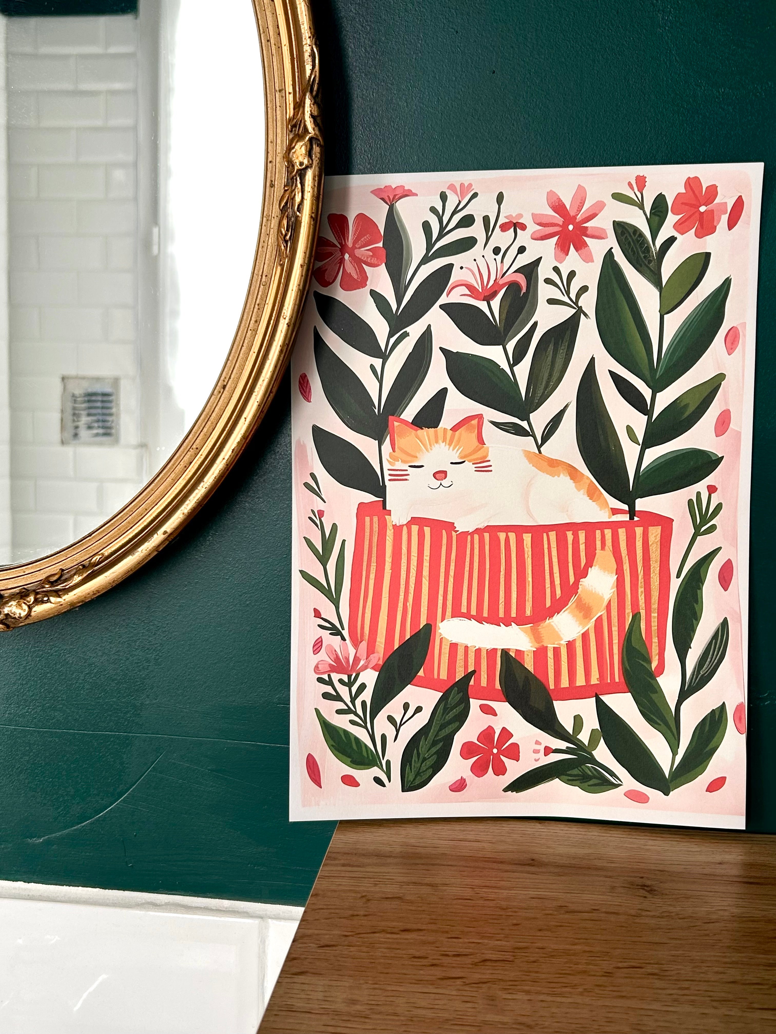 Illustrations
