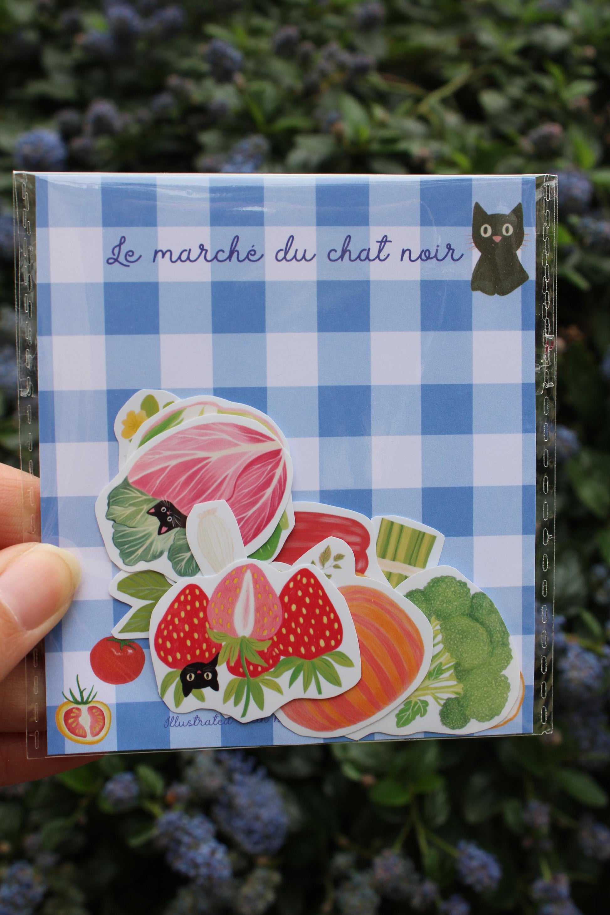 Stickers "Le verger du chat noir" - stickers Chat Noir & Fruits et Légumes – Pack de 13 Stickers vinyle