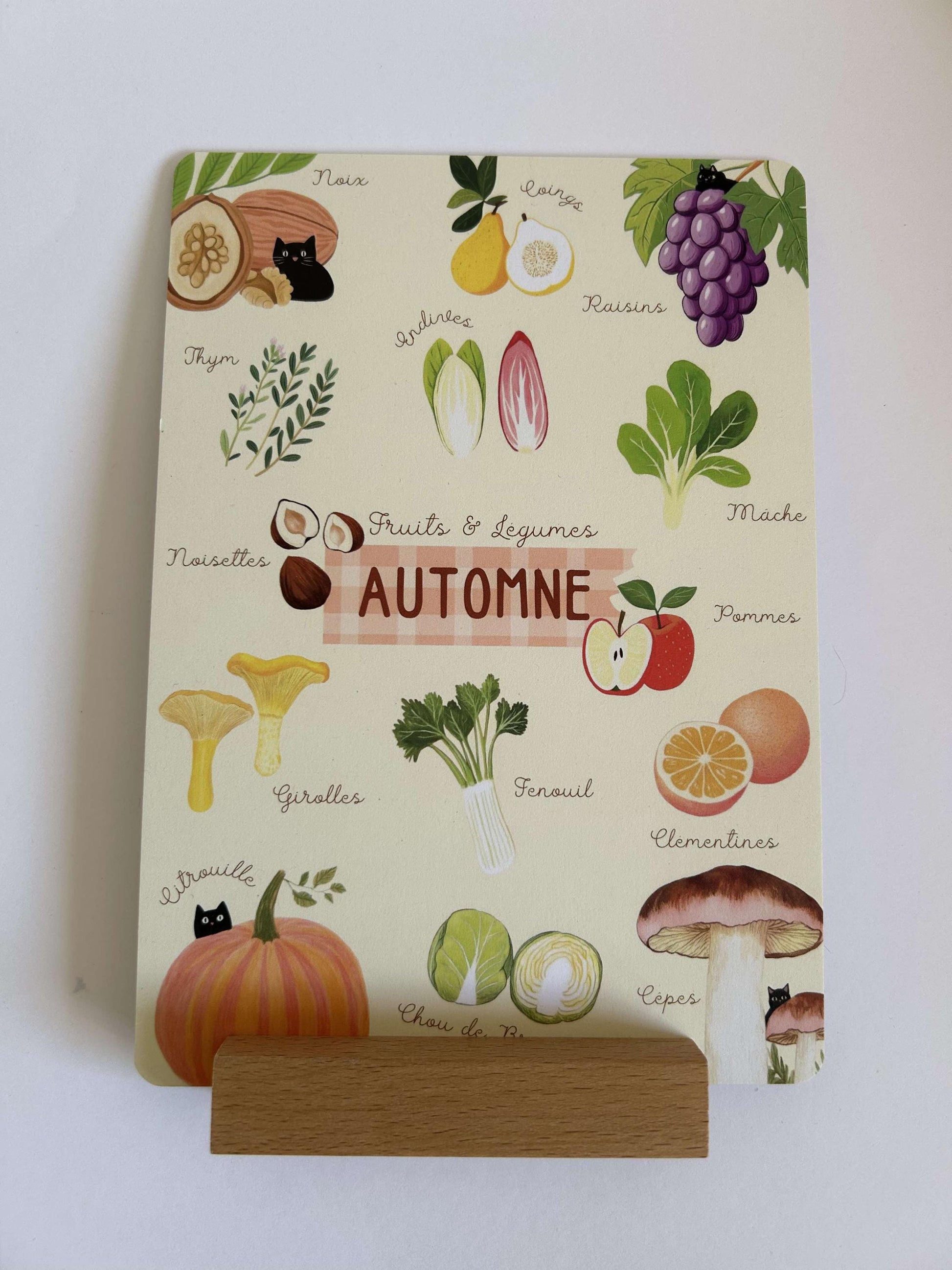 Lot de 4 Affiches Herbier avec Chat Noir avec support en bois – Fruits et Légumes de Saison | Déco Murale