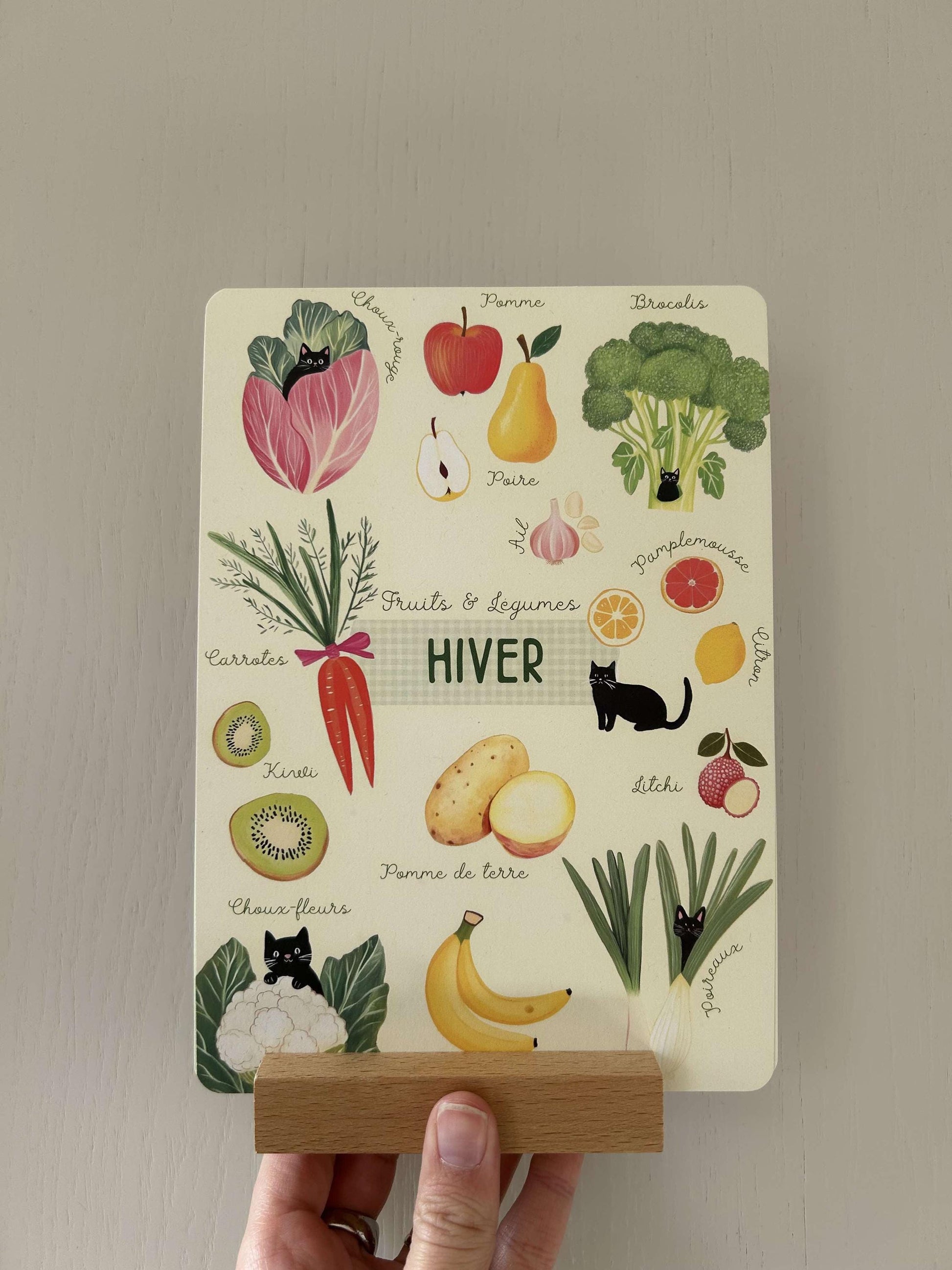 Lot de 4 Affiches Herbier avec Chat Noir avec support en bois – Fruits et Légumes de Saison | Déco Murale