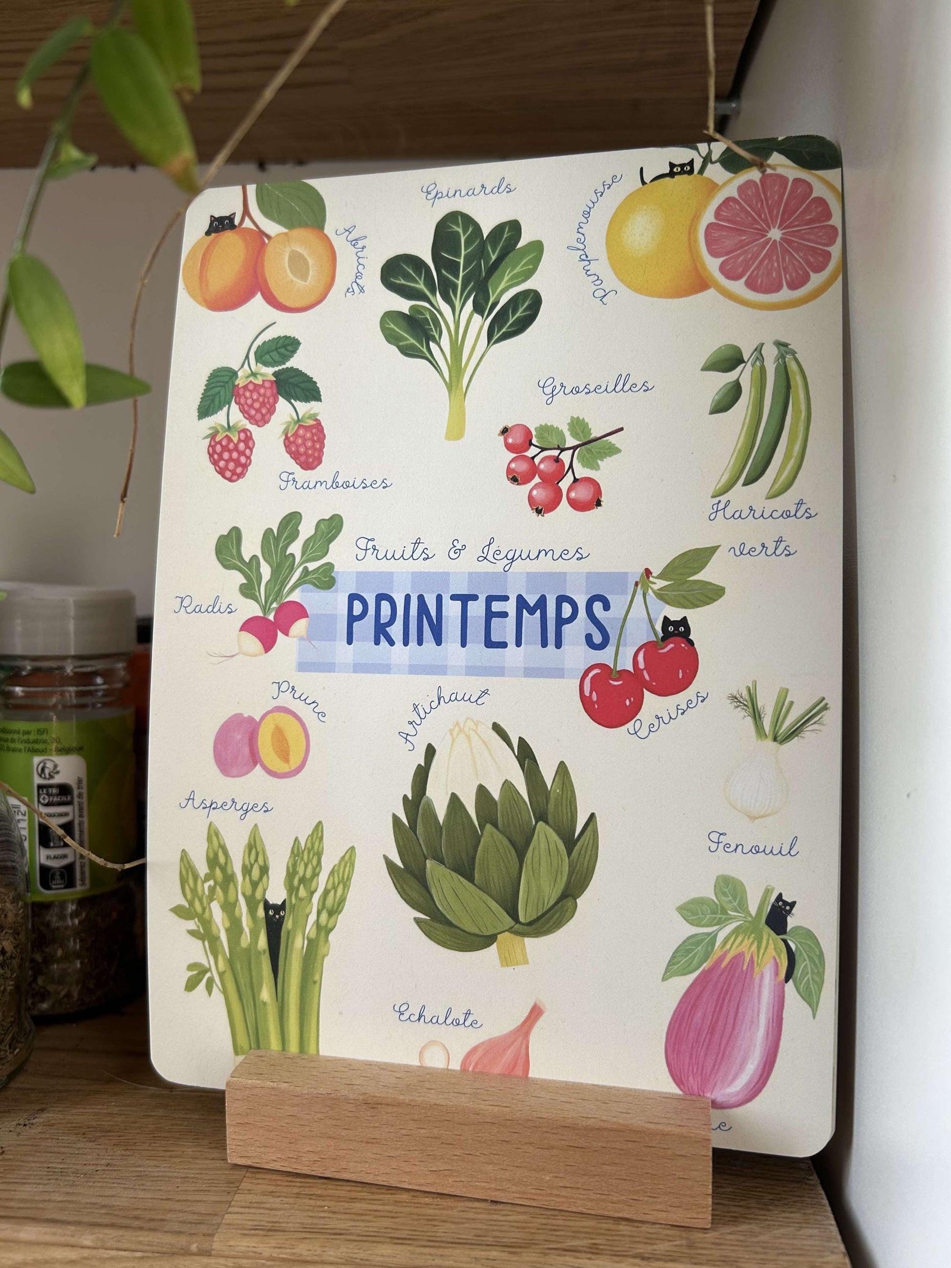 Lot de 4 Affiches Herbier avec Chat Noir avec support en bois – Fruits et Légumes de Saison | Déco Murale