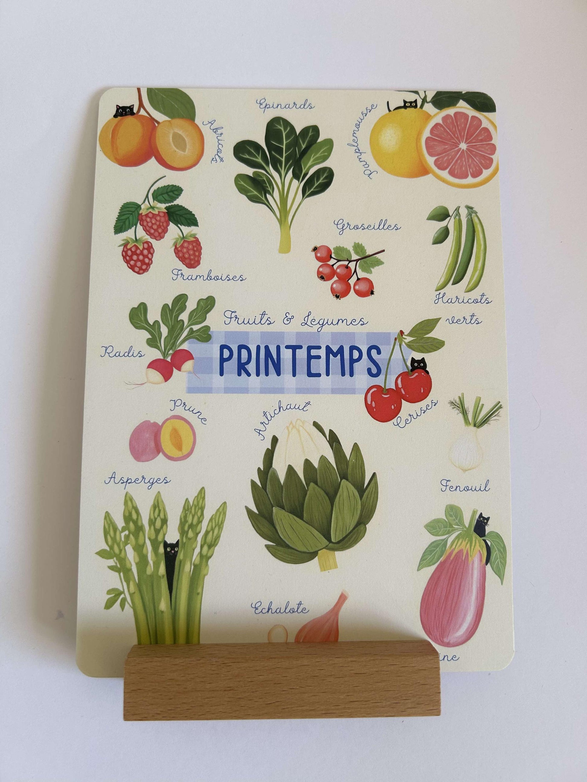 Lot de 4 Affiches Herbier avec Chat Noir avec support en bois – Fruits et Légumes de Saison | Déco Murale