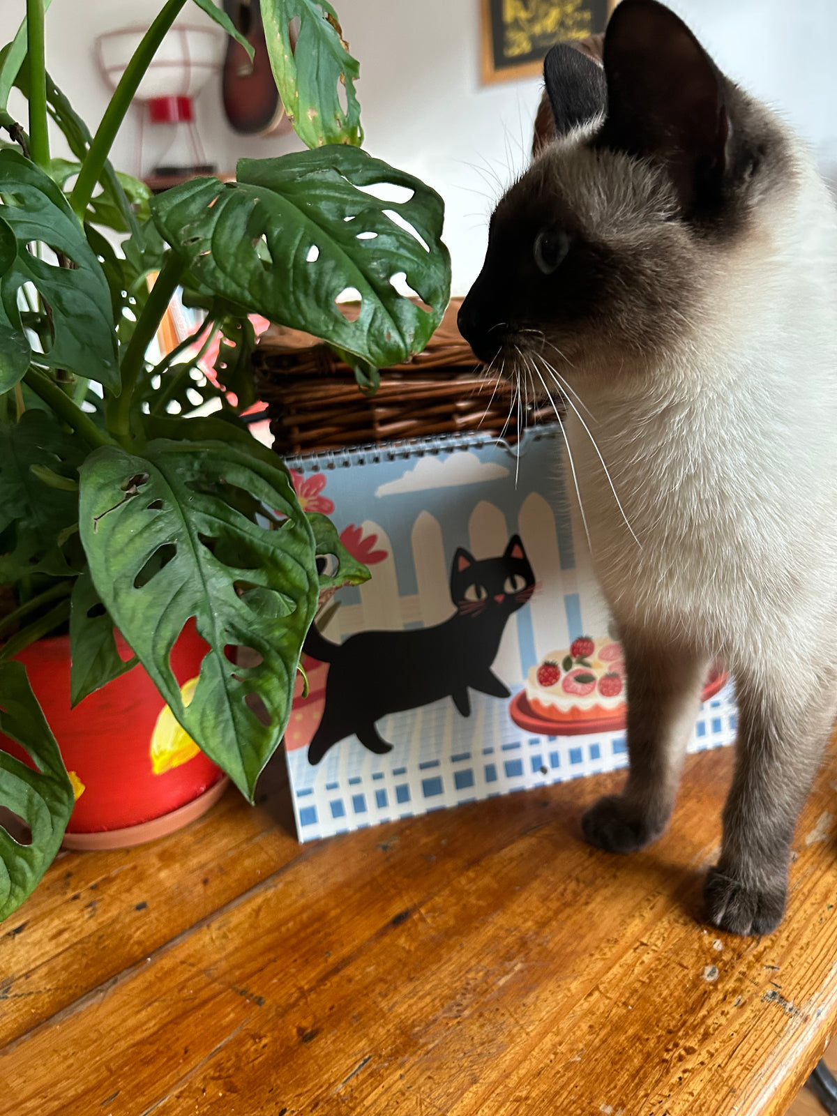 Calendrier 2026 "Le chat noir en cuisine" - calendrier amoureux des chats - décoration murale - style cottagecore - calendrier chat noir