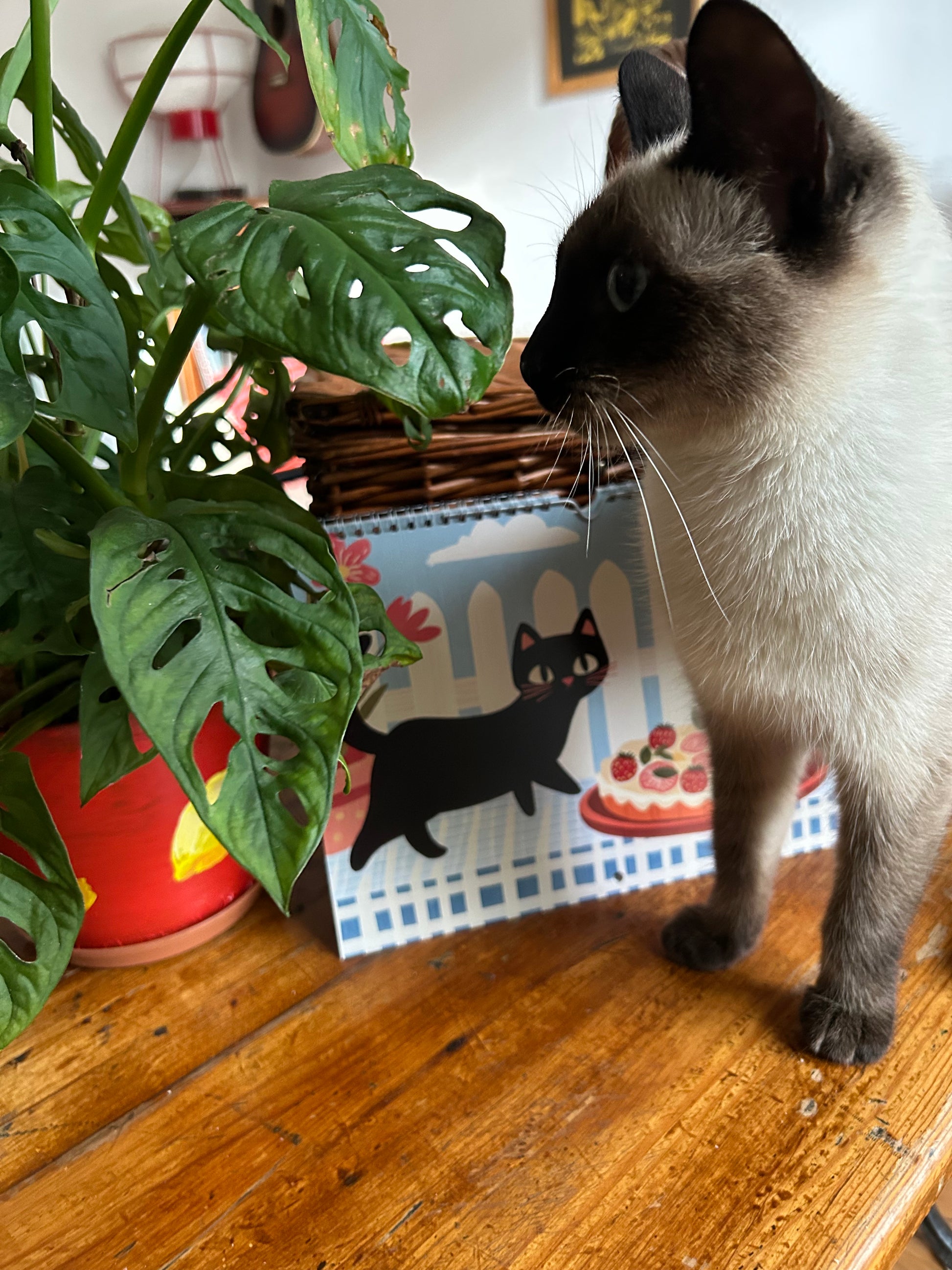 Calendrier 2026 "Le chat noir en cuisine" - calendrier amoureux des chats - décoration murale - style cottagecore - calendrier chat noir