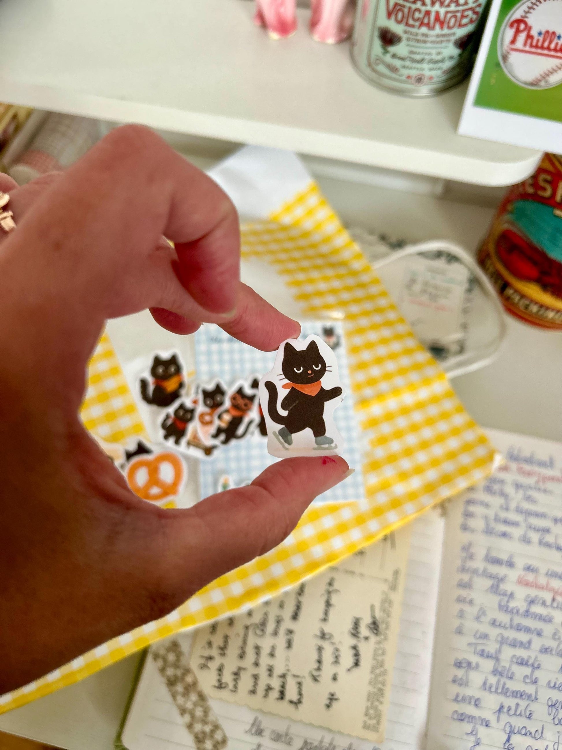 Stickers journaling  "Le chat noir à New-York" - stickers Chat Noir & New-York – Pack de 12 Stickers vinyle