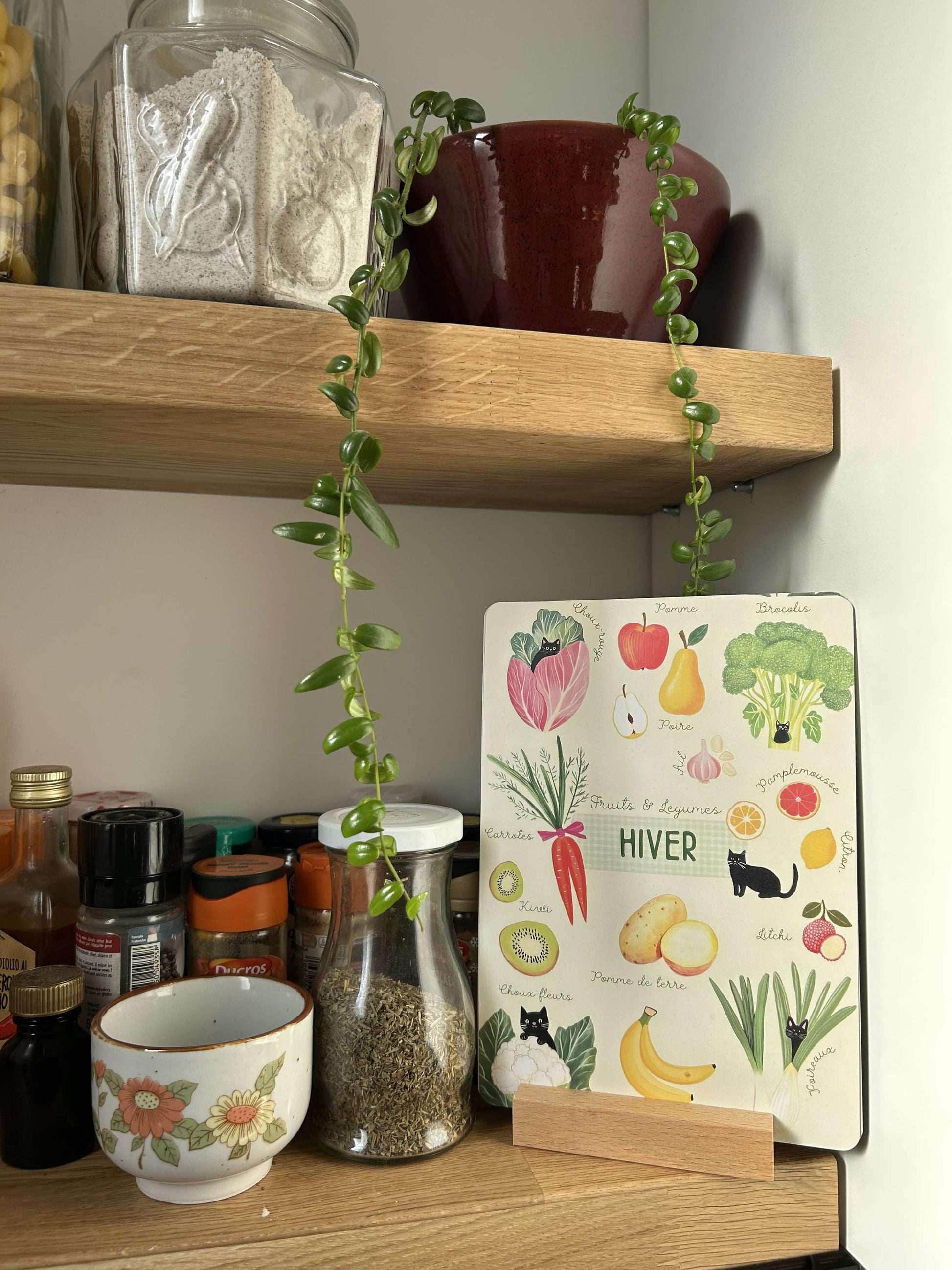 Lot de 4 Affiches Herbier avec Chat Noir avec support en bois – Fruits et Légumes de Saison | Déco Murale
